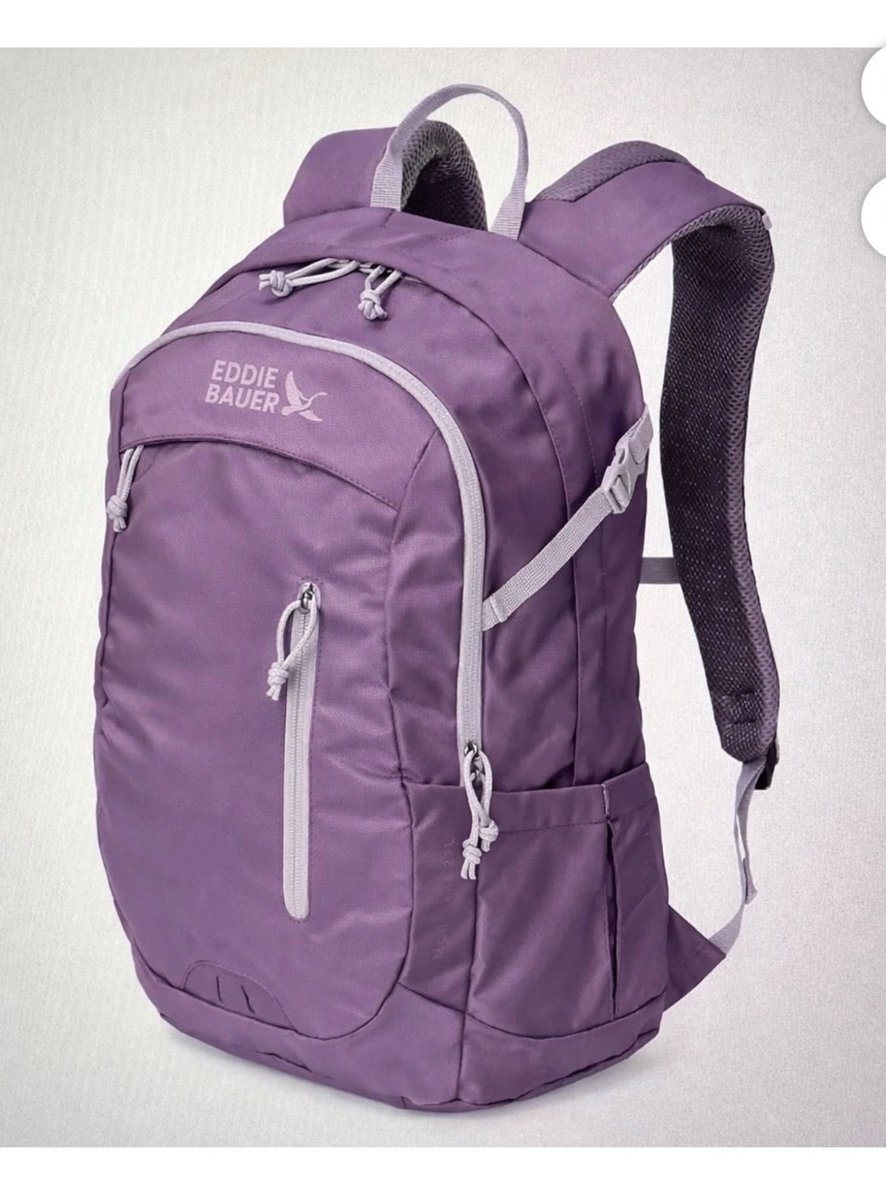 Eddie Bauer Deep Purple Daypack with Gray Accents